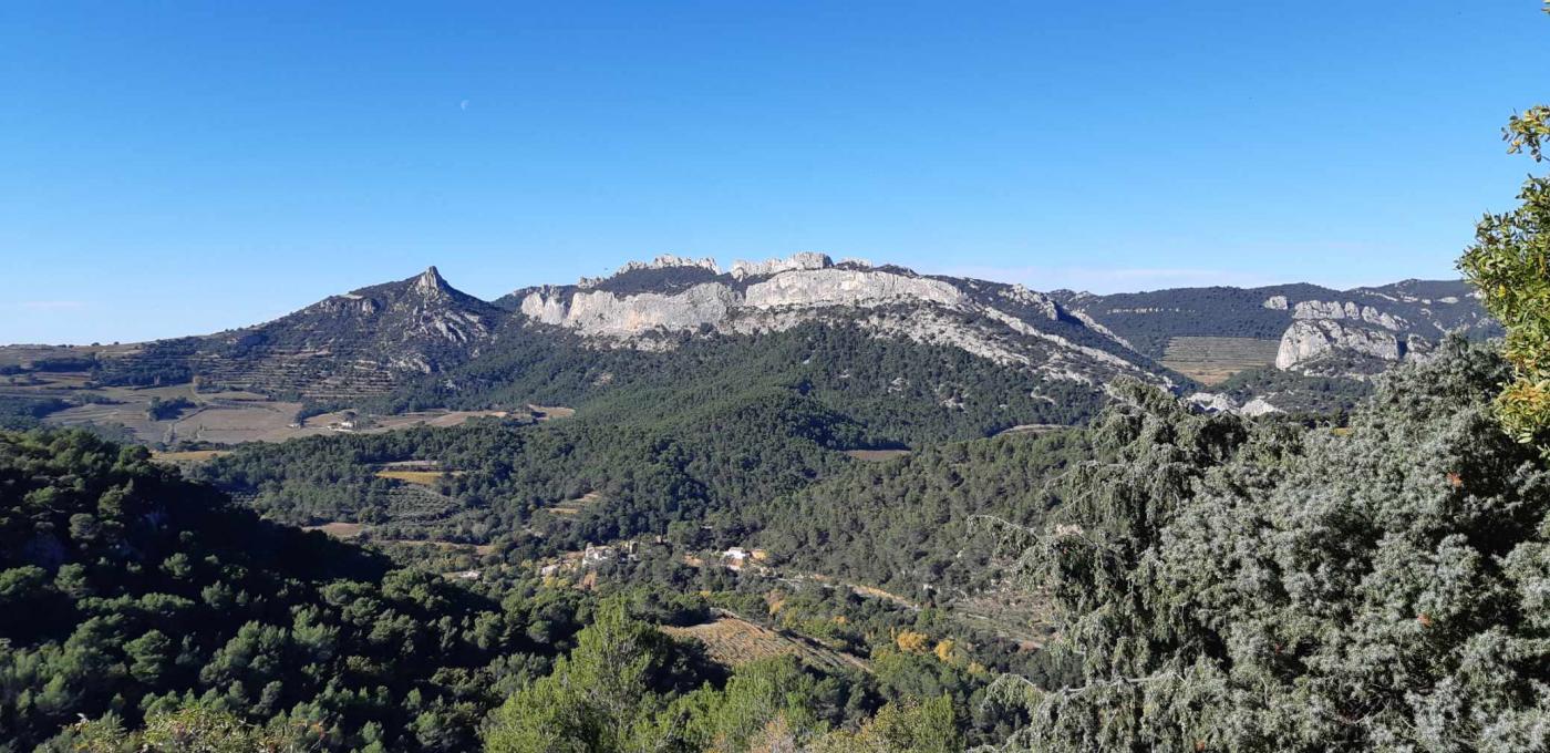 Le Barroux, Elisabeth mercredi 16 novembre 2022