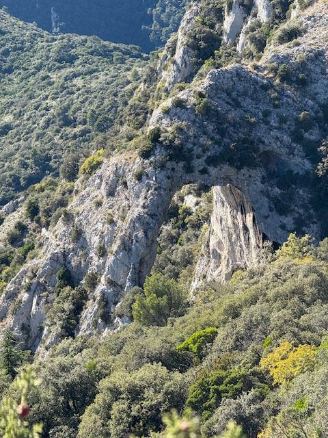 Forêt des cèdres, Jean-Luc Bardyn mardi 28 octobre 2025