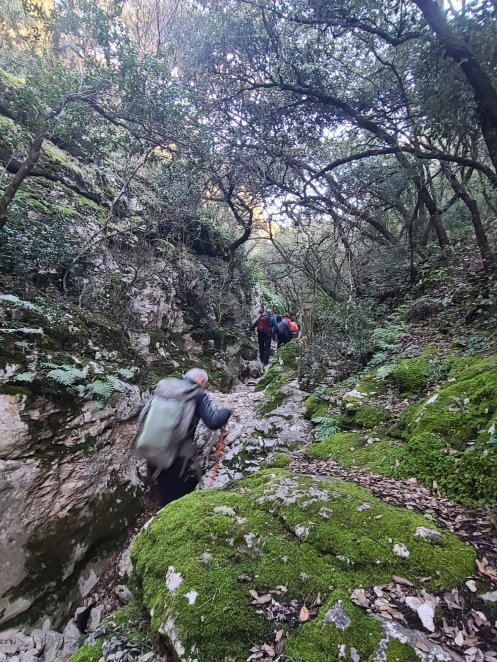 Combe de Vaumale