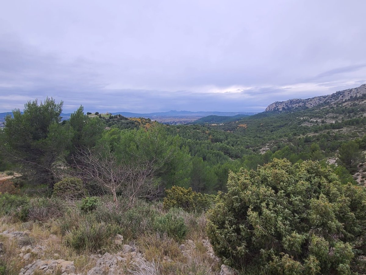 Mérindol, Dominique Granel mardi 2 décembre 2025