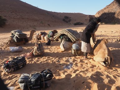 Bivouac
