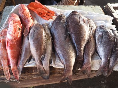 Port de Nouakchott