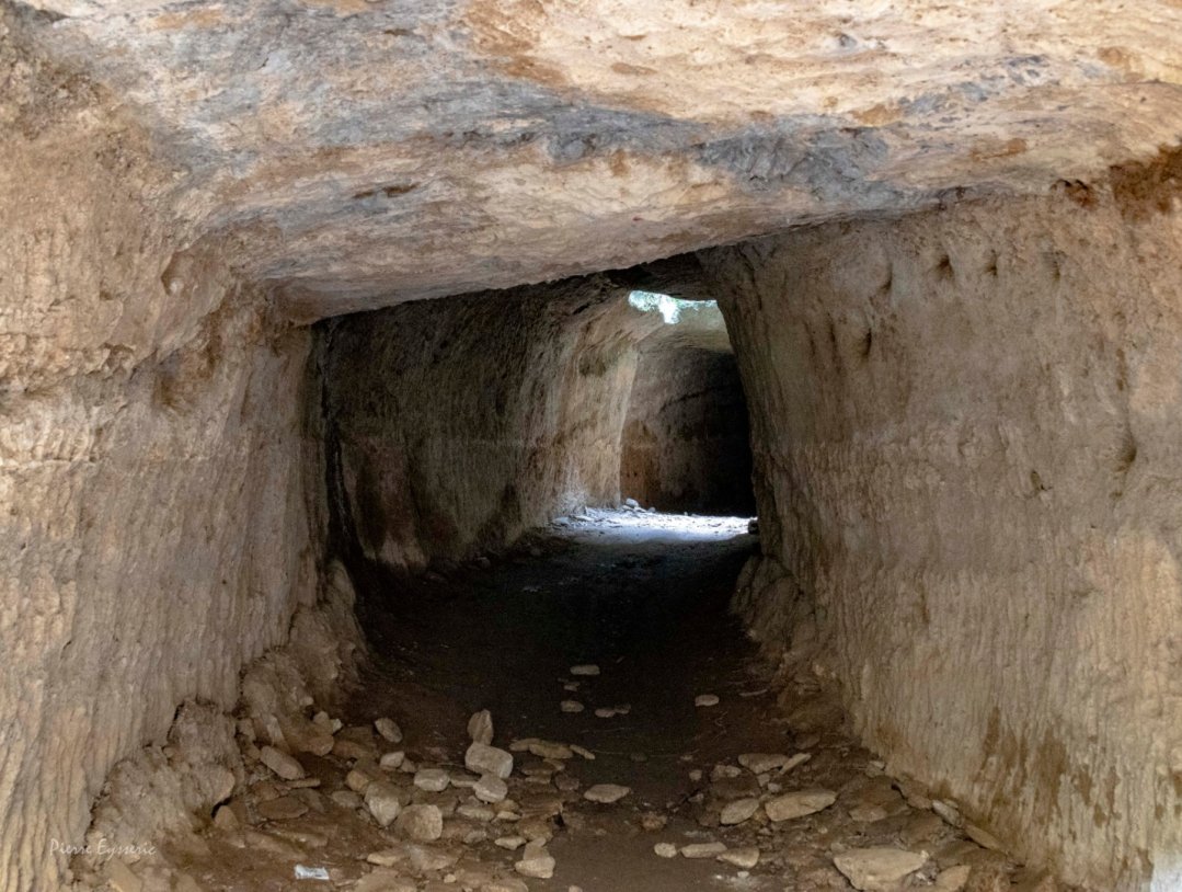Saint-Bonnet-du-Gard, Elisabeth de Gaillande mercredi 4 mars 2026
