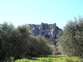 P3171898