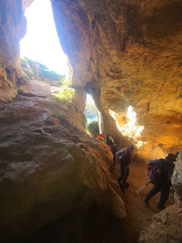 Baume Latrone