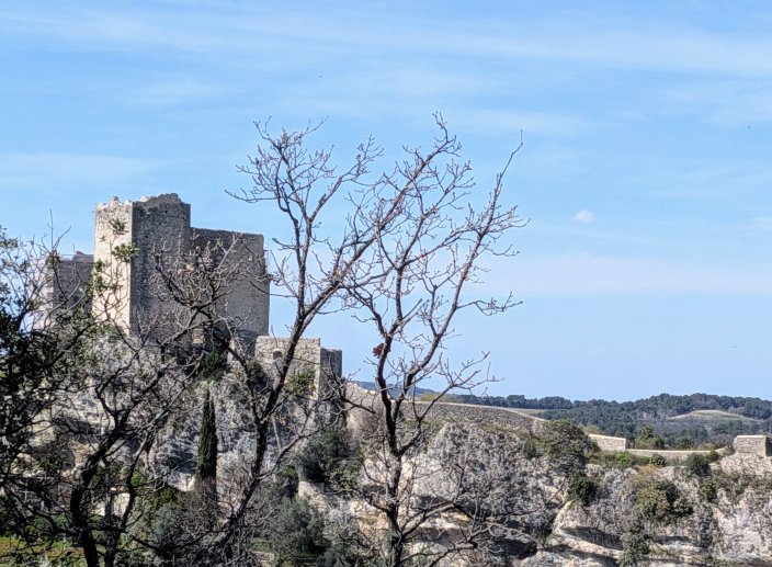 CHATEAU DE VAISON