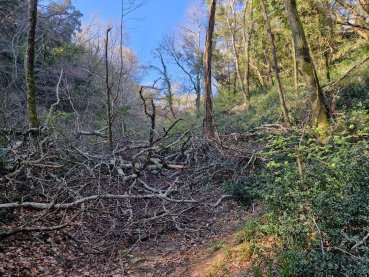 Saint-Paulet-de-Caisson, Didier Bally jeudi 2 avril 2026