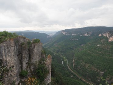P6020505