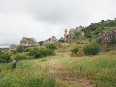 P6030547