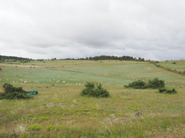 P6030554