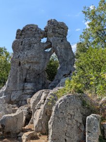 L'ours et le lion