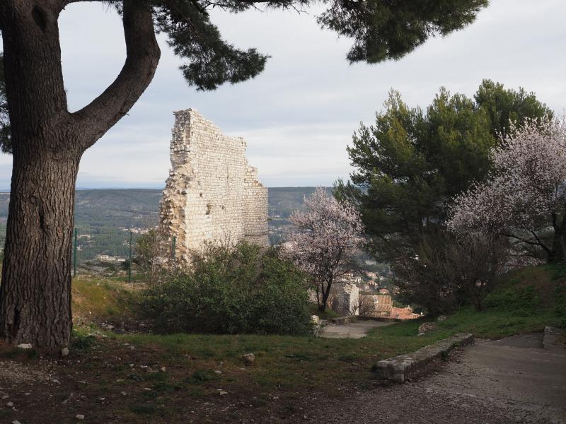 Ventabren, Didier Bally le mercredi 8 mars 2023 RANDOFAVET
