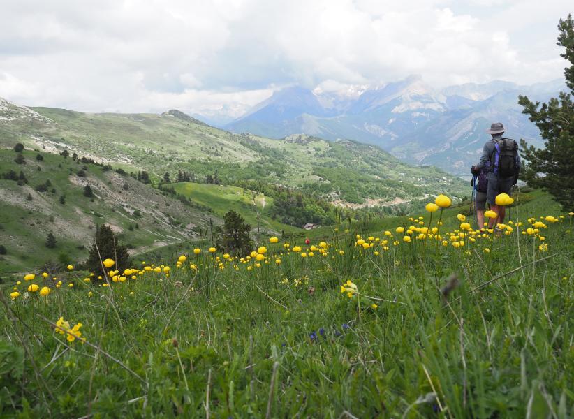 P5290265