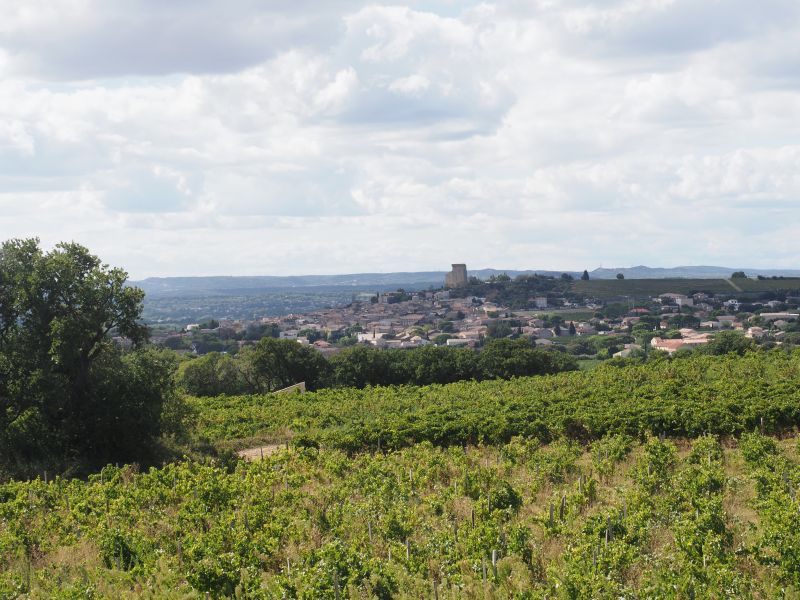 Châteauneuf-du-Pape