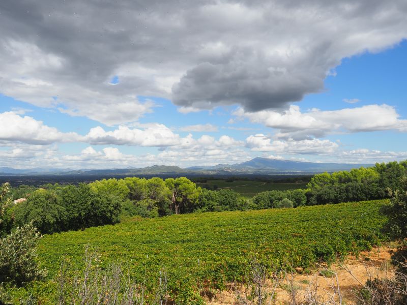 Dentelles et Ventoux
