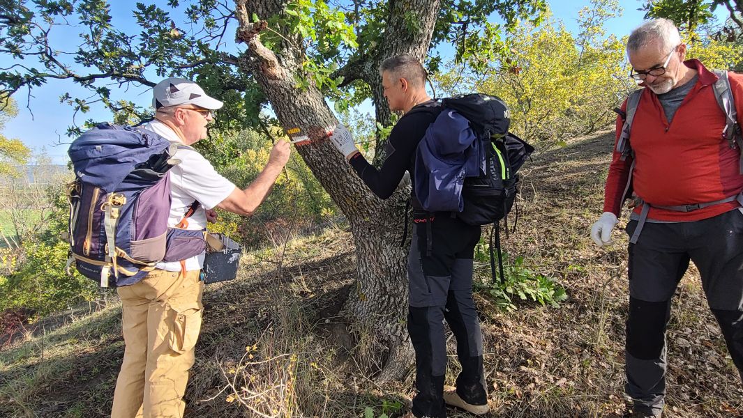 Gordes, balisage GR 6 lundi 13 novembre 2023