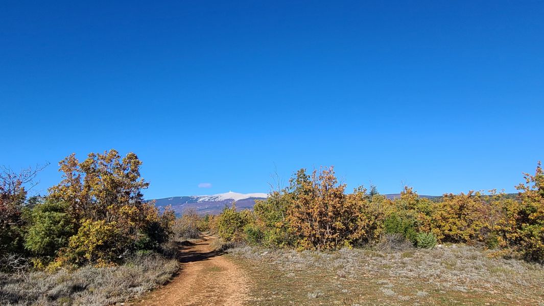 le Géant de Provence 1912 m