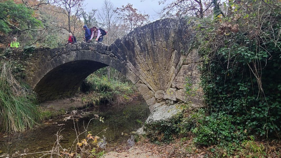 Le Pont à coquille