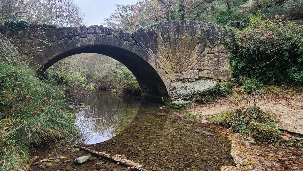 Le Pont à coquille
